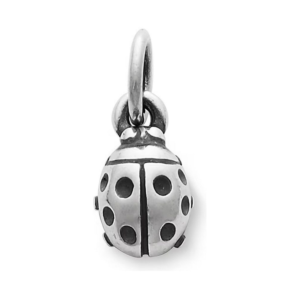 Ladybug Charm