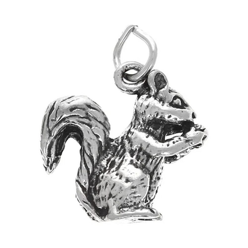 Squirrel Charm