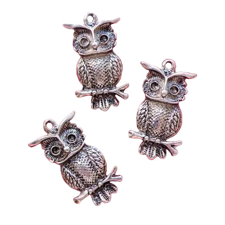 Owl Charm